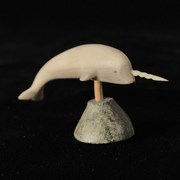 Cover image of Bone Narwhal